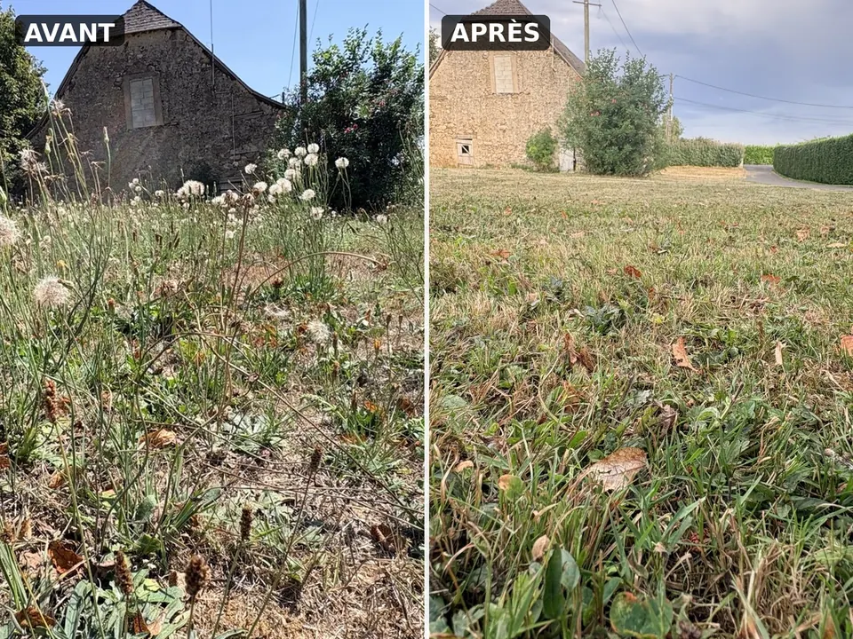 Zone envahie remise au propre après débroussaillage